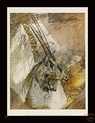 Ann Dillard - Afrique II