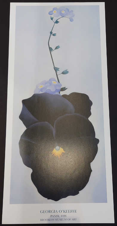 Georgia O'Keeffe - Pansy, 1926