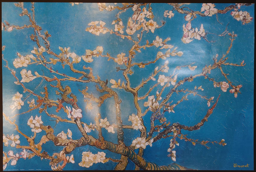 Vincent van Gogh - Almond Branches