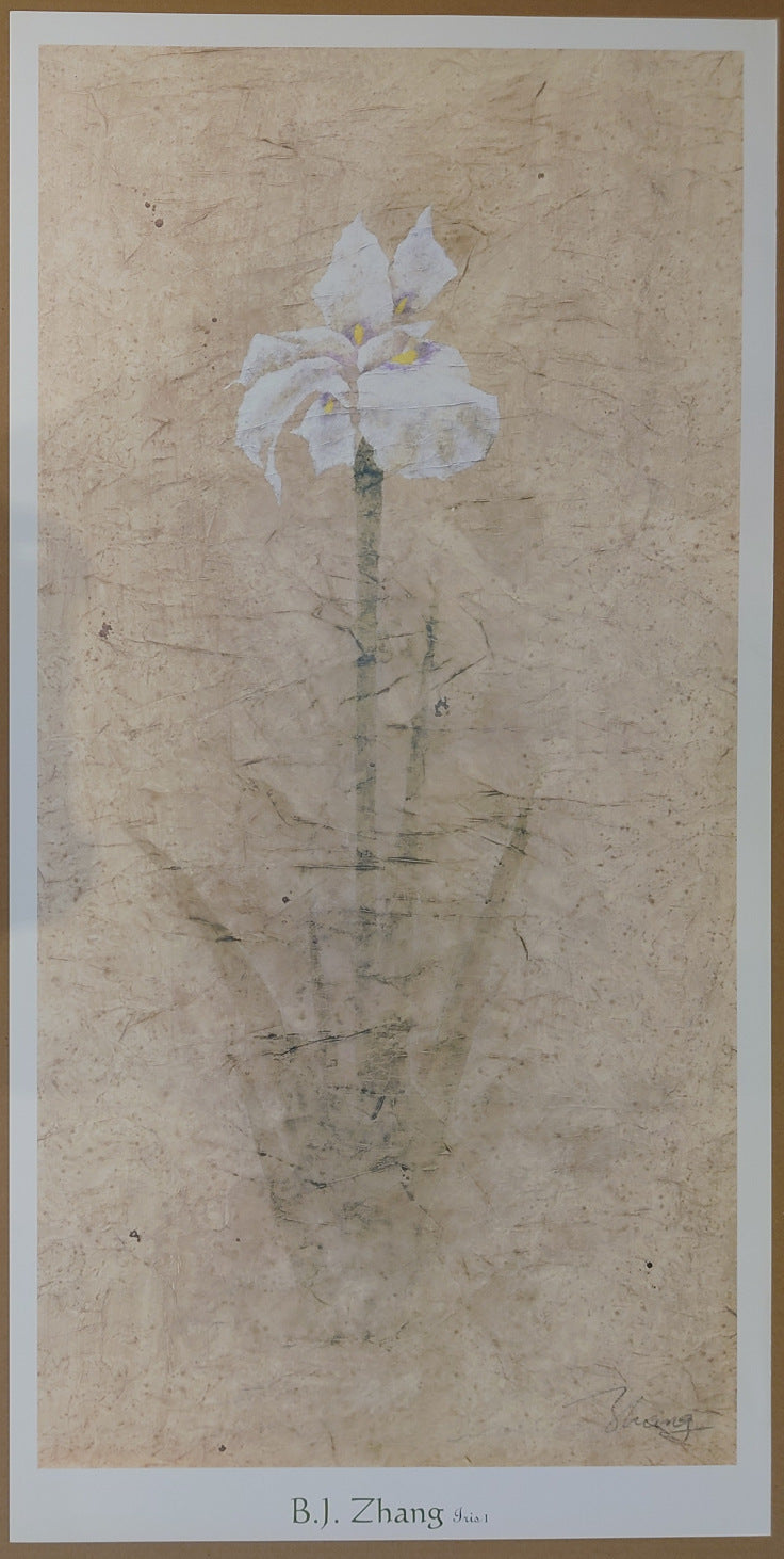B.J. Zhang - Iris I