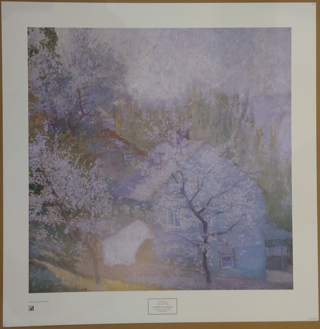 Garber Daniel - Cherry Blossoms