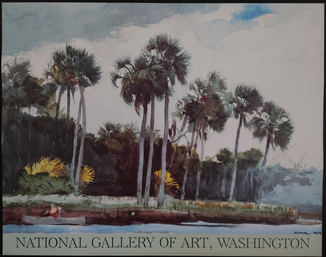 Winslow Homer - Homosassa River