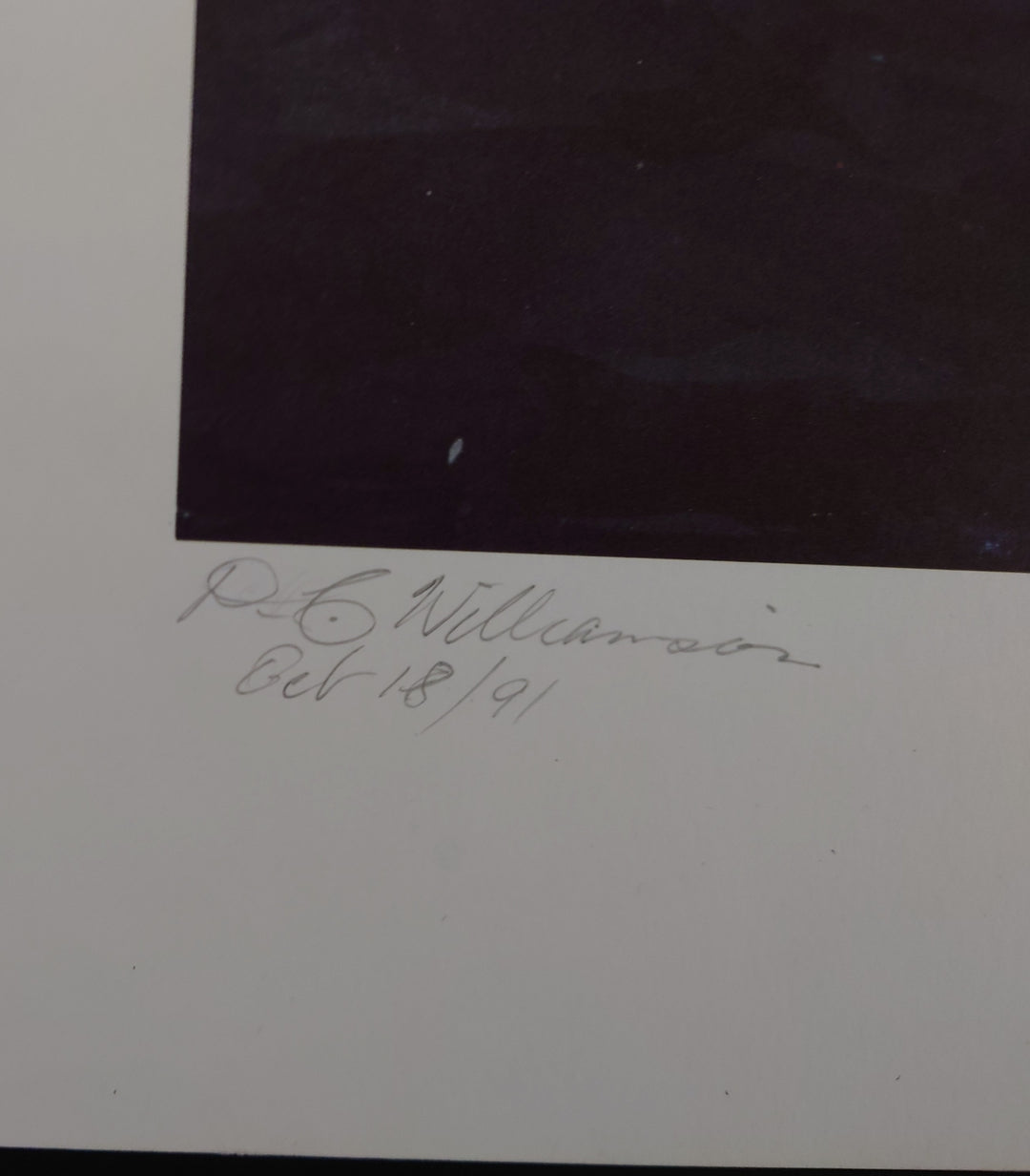 Williamson - The S.S. Northumberland (LIMITED EDITION; 137/750)