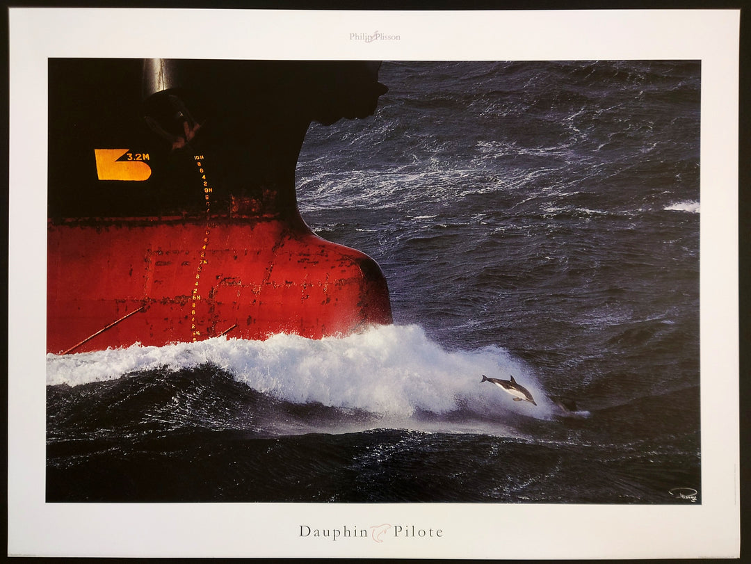 Philip Plisonn - Dauphin Pilote