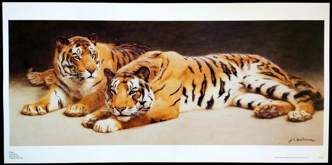 John Charles Dollman - Two Wild Tigers