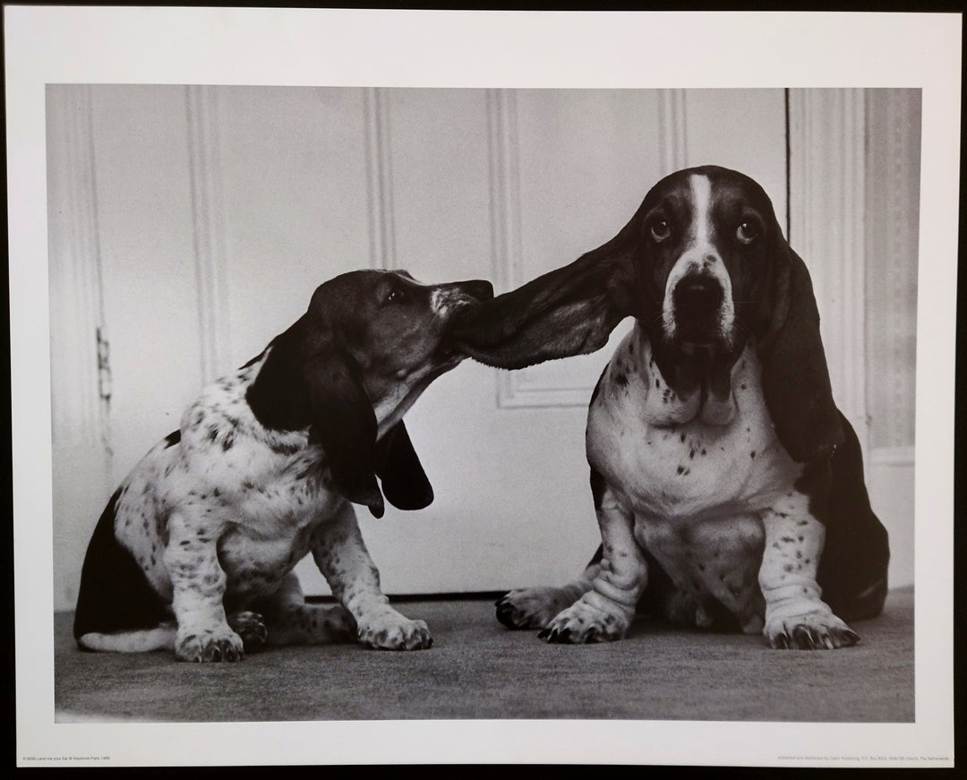 Lend Me Your Ear