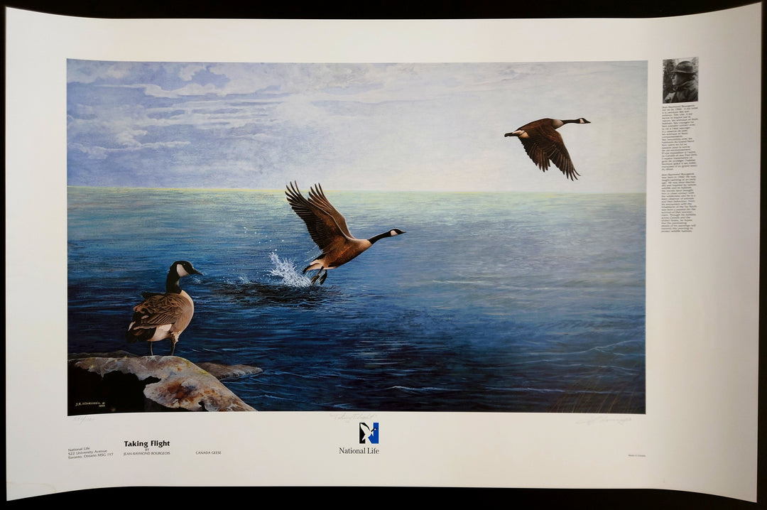 Jean-Raymond Bourgeois - Taking Flight