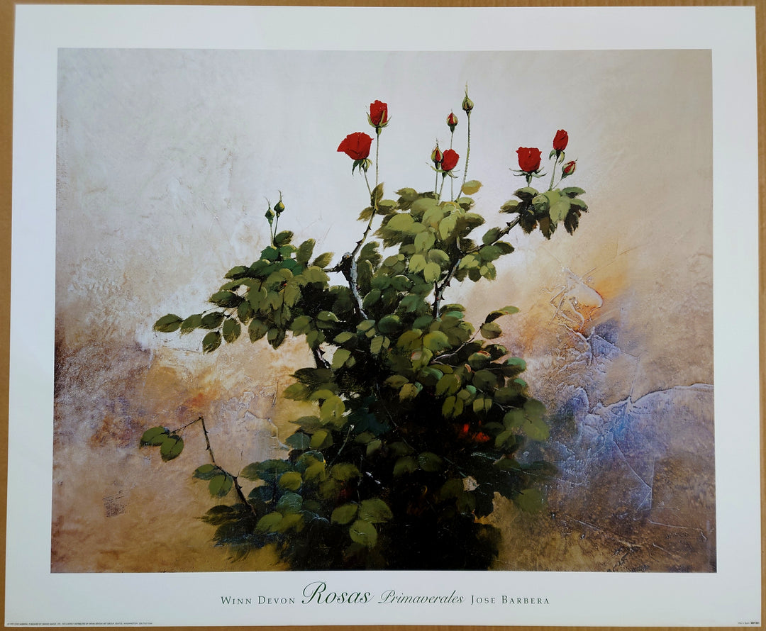 Jose Barbera - Rosas Primaveras
