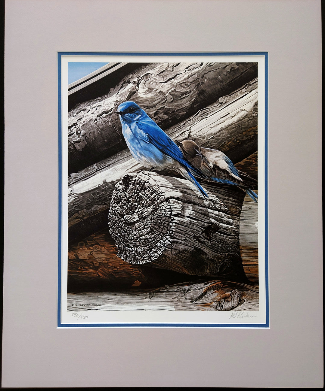 Ron Parker - Weathered Wood Bluebird (Limited Edition)