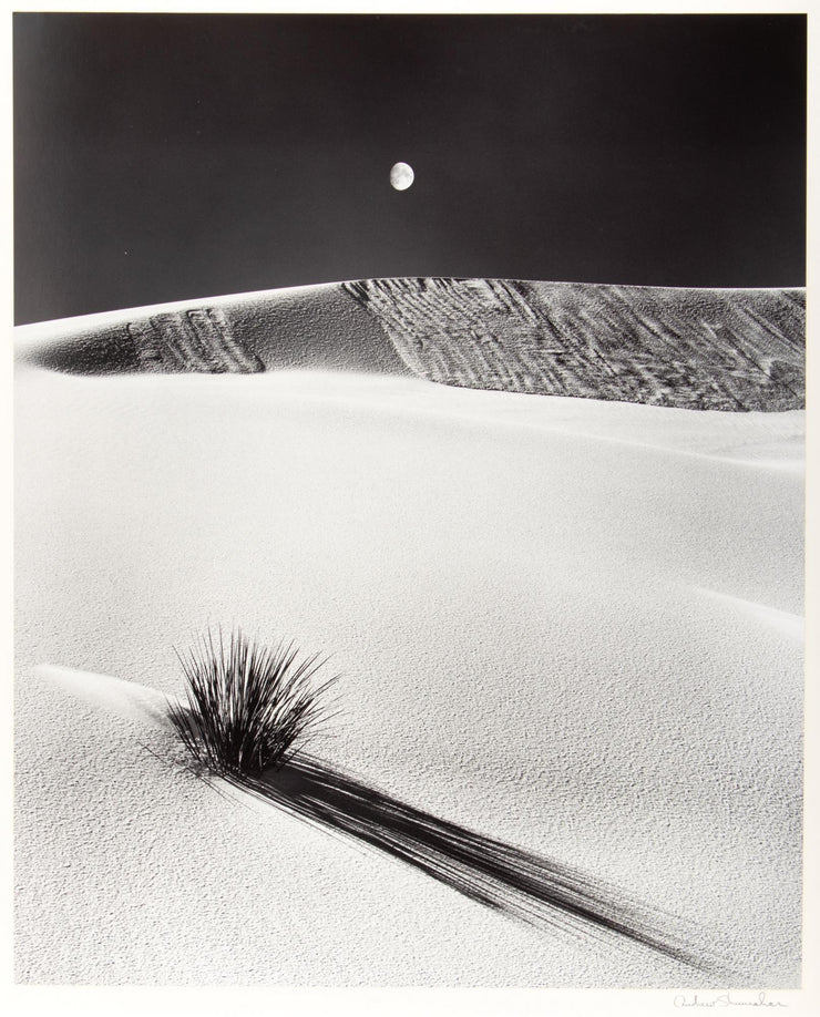 Andrew - Yucca, Dune and Moon, 1982