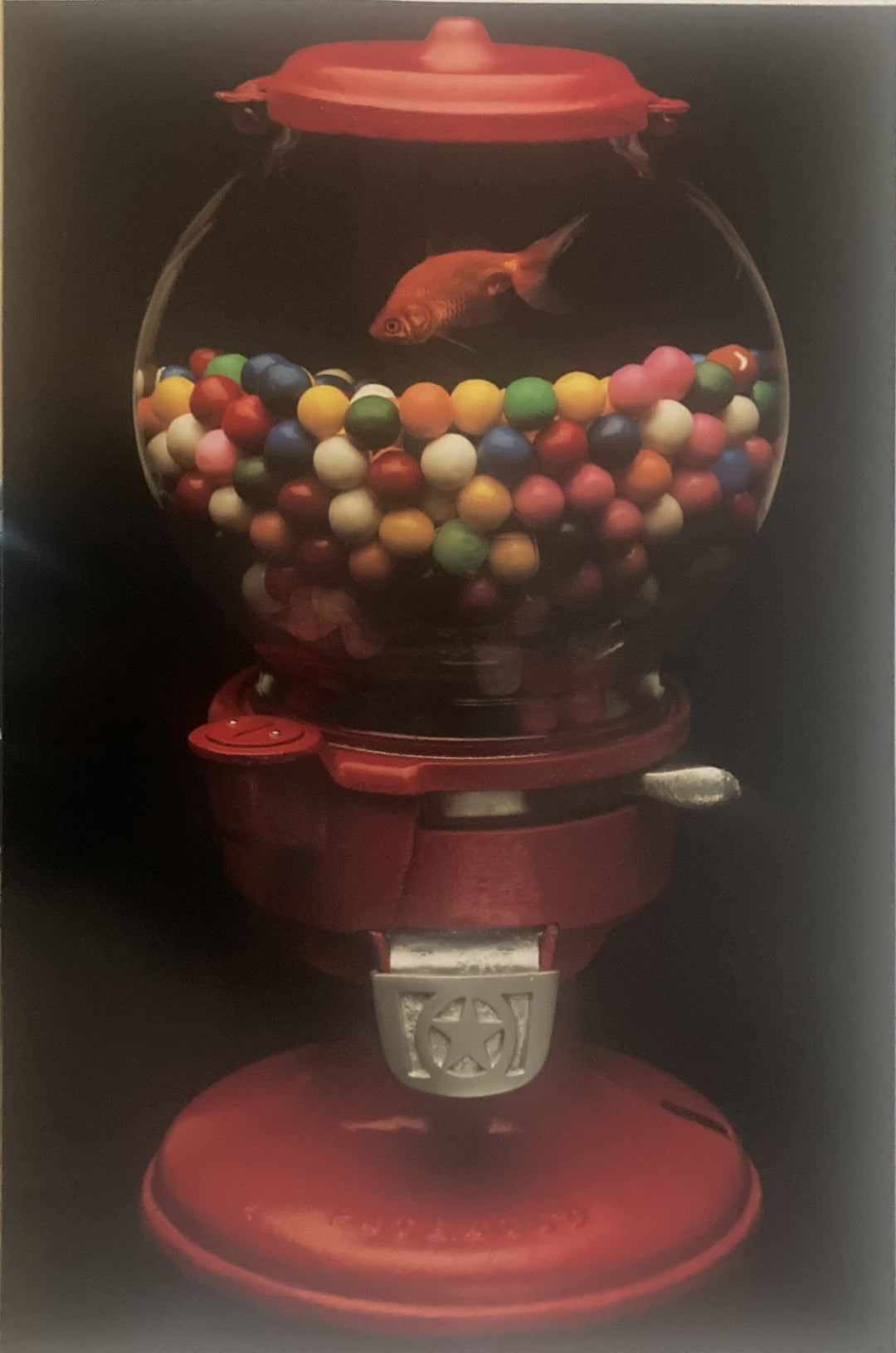 Bubble Gum and Gold Fish