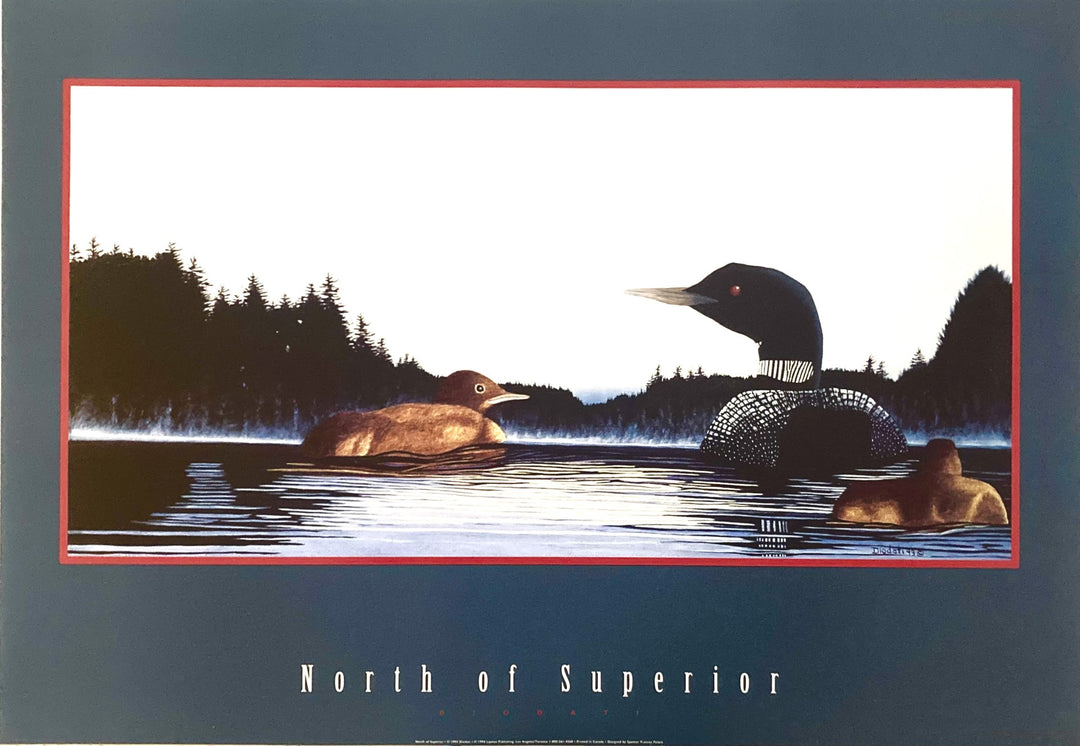 Diodati - North of Superior