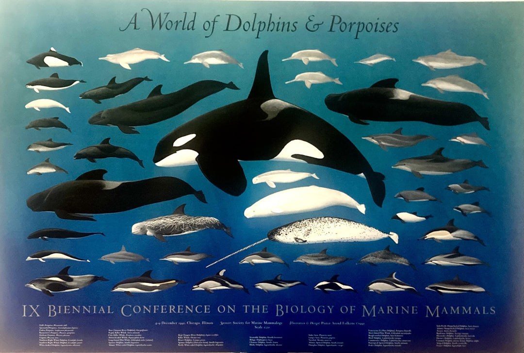 Pieter Arend Folkens - A World Of Dolphins & Porpoises
