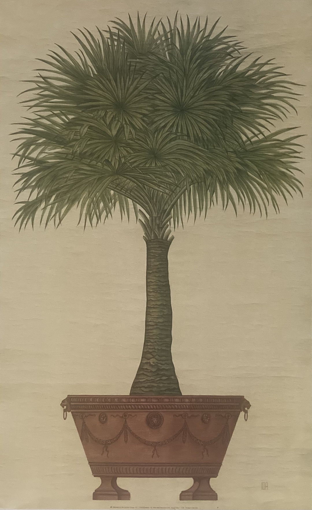 Unknown - Royal Palm