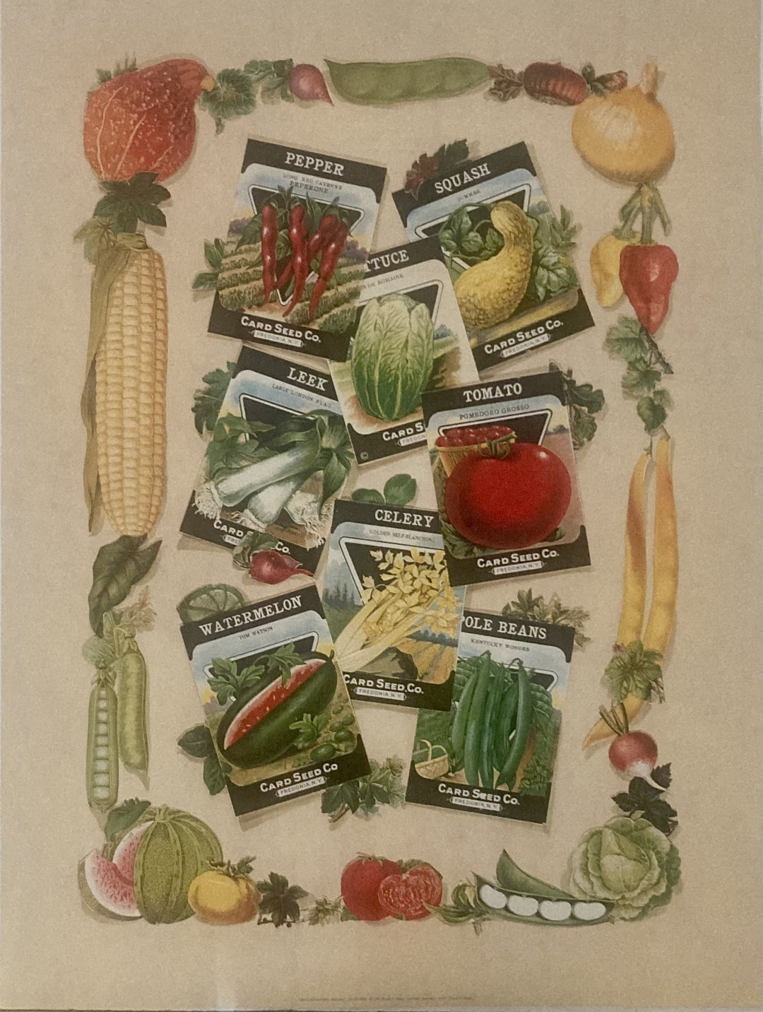 Thomas Cathey - Seed Assortment