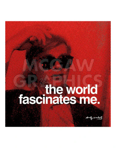 Andy Warhol - The world fascinates me