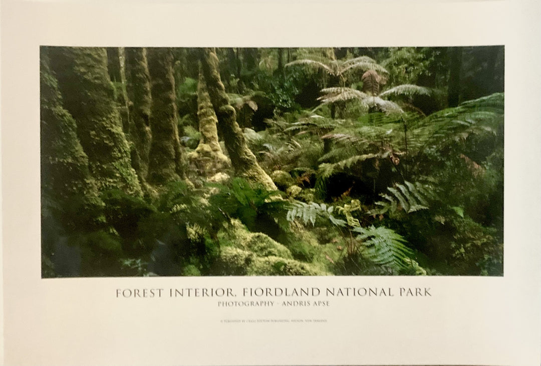 Apse, Andris - Forest Interior