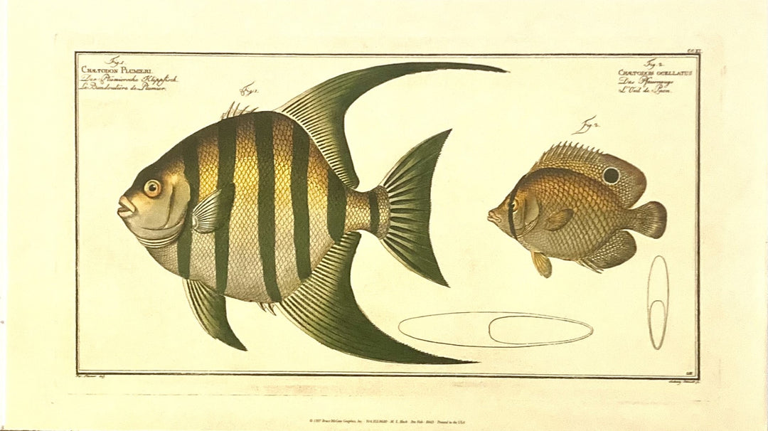 Antique Fish