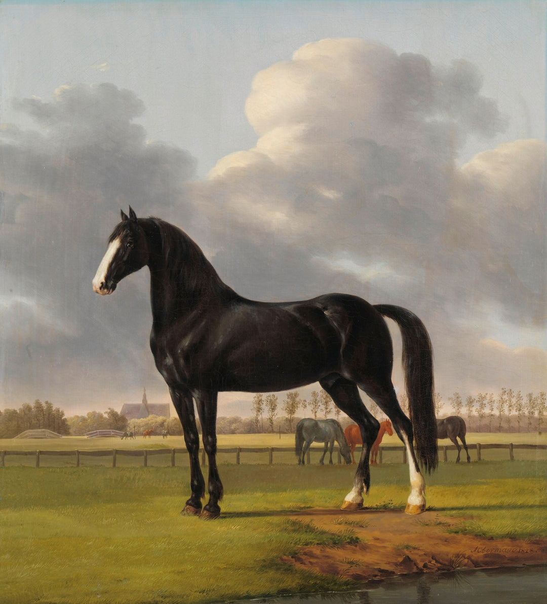 Anthony Oberman - Der Vlugge