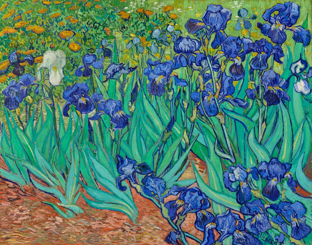 Vincent van Gogh - Irises