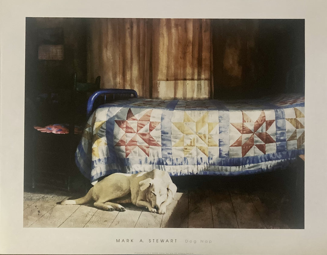 Mark Stewart - Dog Nap