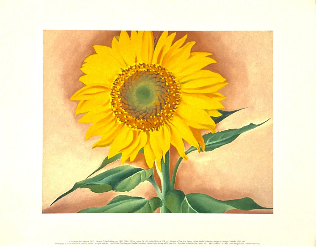 O'Keeffe, Georgia - A Sunflower from Maggie