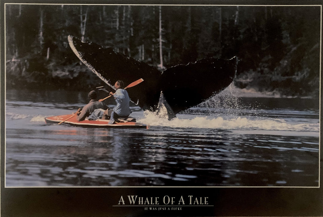 A Whale Of A Tale