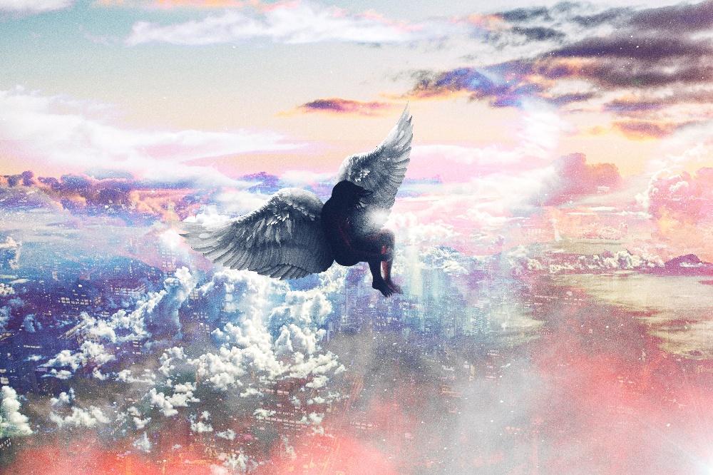 Alex Cherry - Fall Out of Heaven