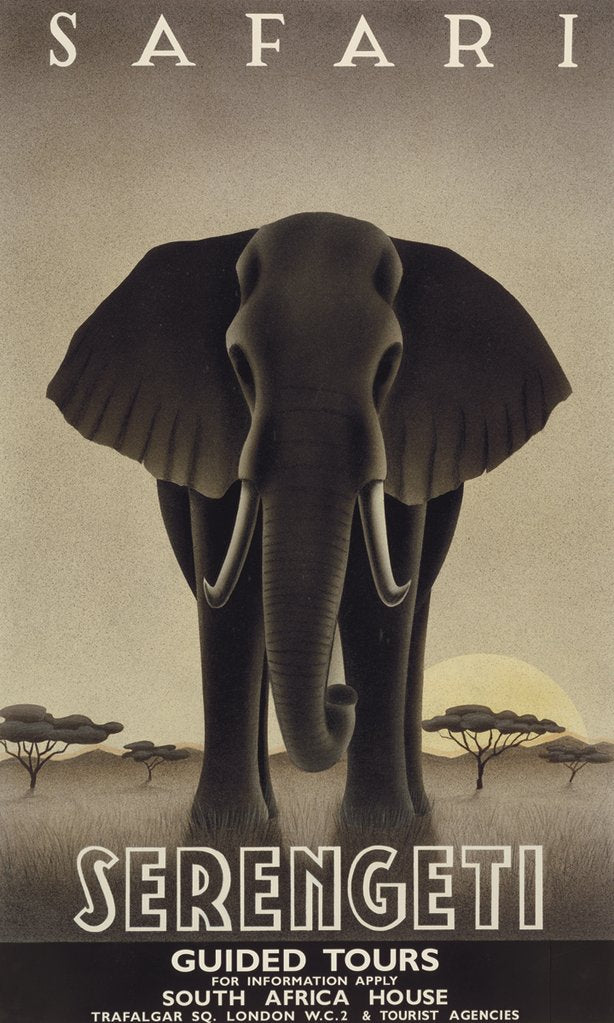 Steve Forney - Serengeti