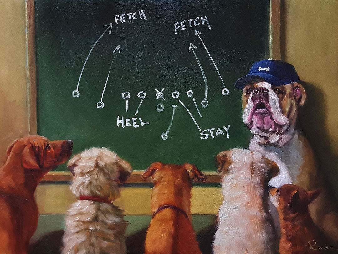 A mastiff in a baseball cap sits by a chalk board with several dogs sitting across from it. Chalk is drawn similarly to football directions, but say "Fetch," "Heel," and "Stay."