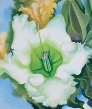Georgia O'Keeffe "Cup of Silver Ginger"