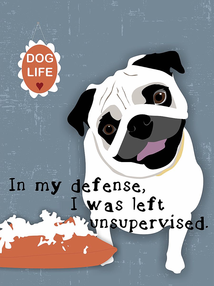 Ginger Oliphant "Pug Dog Life"