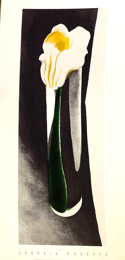 A rare Serigraph printing  A white flower, a calla lily, with a green stem and yellow center sits on a back background.  Dimensions: 19.5" x 39"