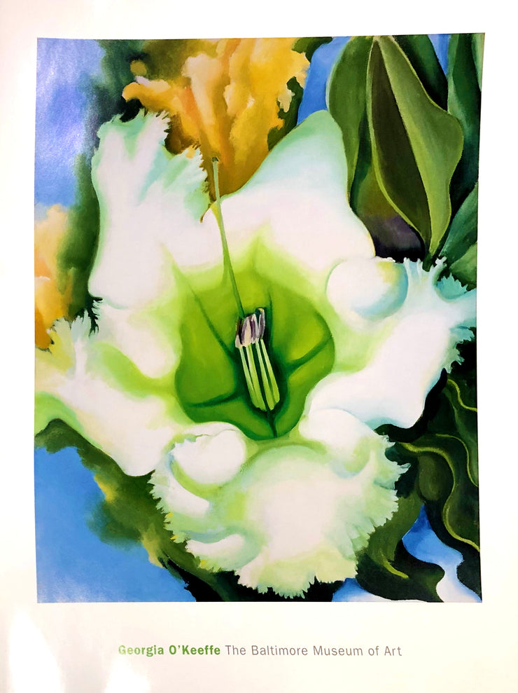 A white flower with a vibrant green middle. Yellow petals can be seen behind it.   Dimensions: 24" x 30"