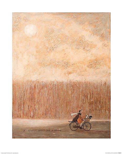 A man in a mustard jacket ride by tall grass on his bike. His scarf flaps in the wind. Three dogs ride with him, two of them in the basket of the bike.
