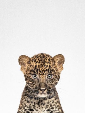Tai Prints "Leopard"