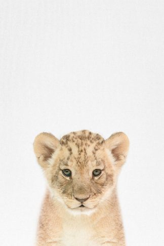 Tai Prints "Baby Lion"