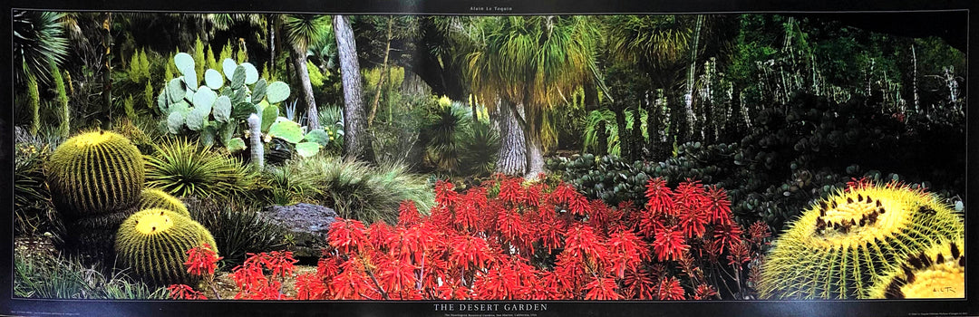 Alain Le Toquin - The Desert Garden