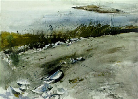 Andrew Wyeth - Blue Mussels