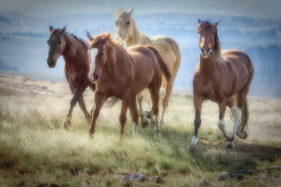 Wendy Caro "Morning Stroll"