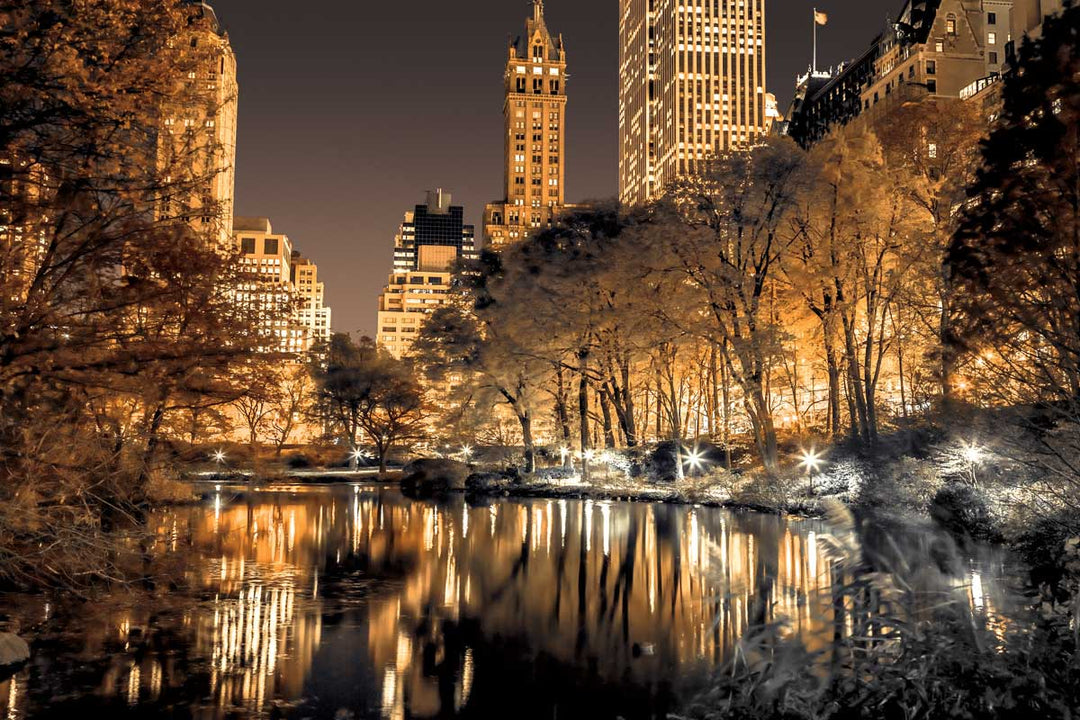 Assaf Frank - Central Park Glow