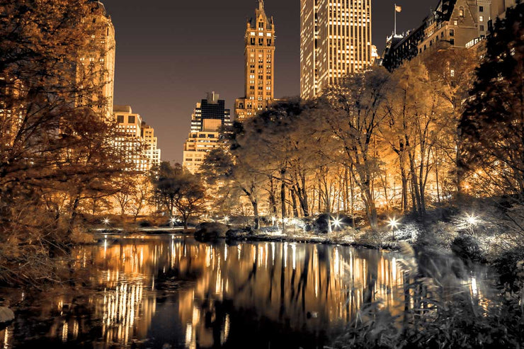 Assaf Frank "Central Park Glow"