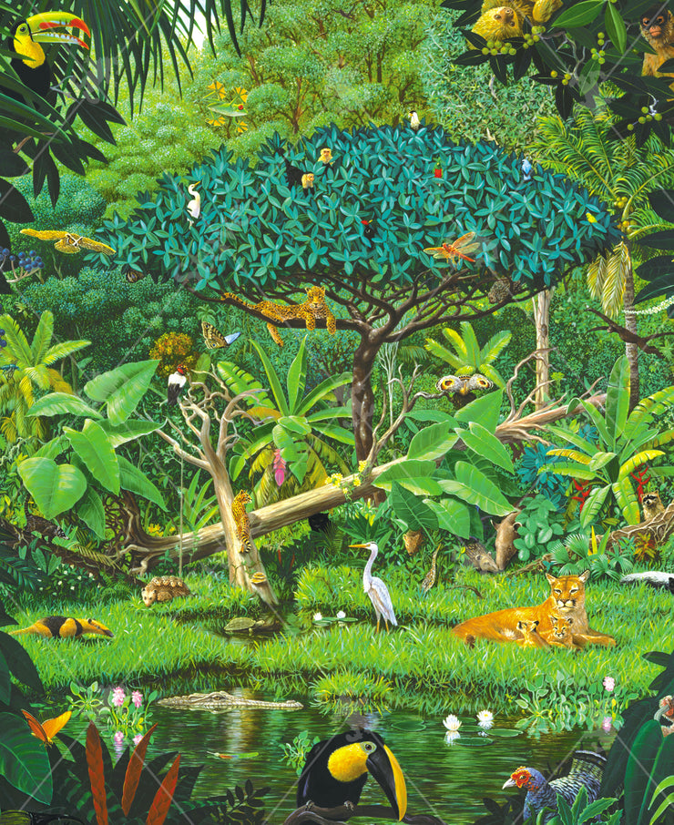 Bragg Charles - Secrets of the Rainforest