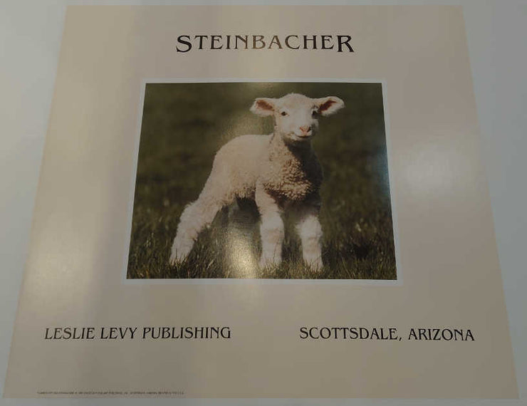Jim Steinbacher - Lamb Chops