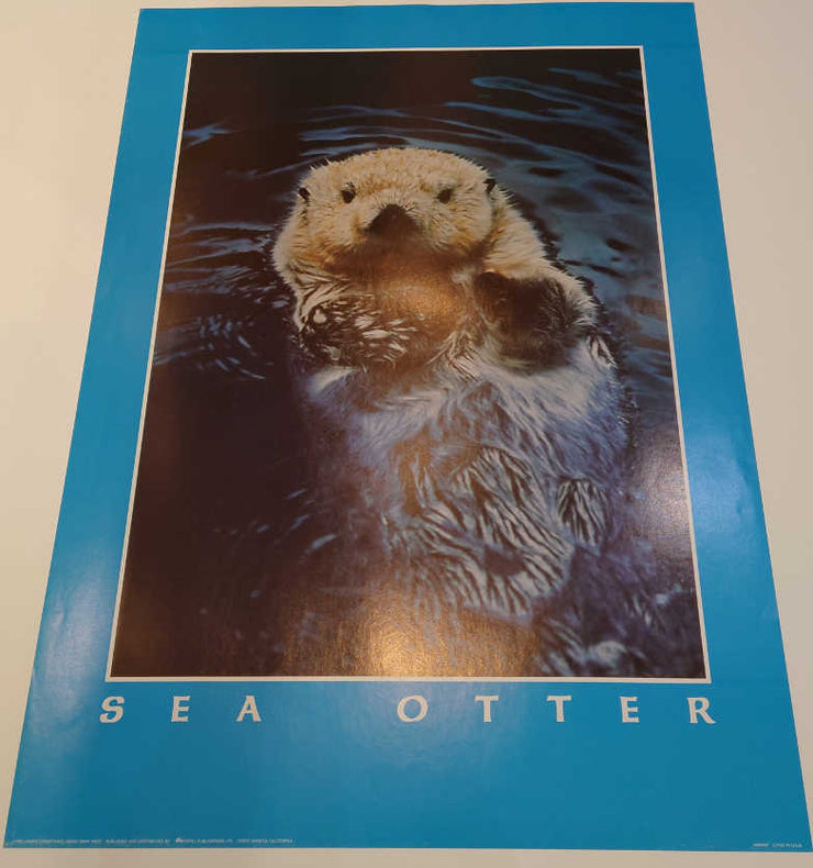 James Carmichael - Sea Otter