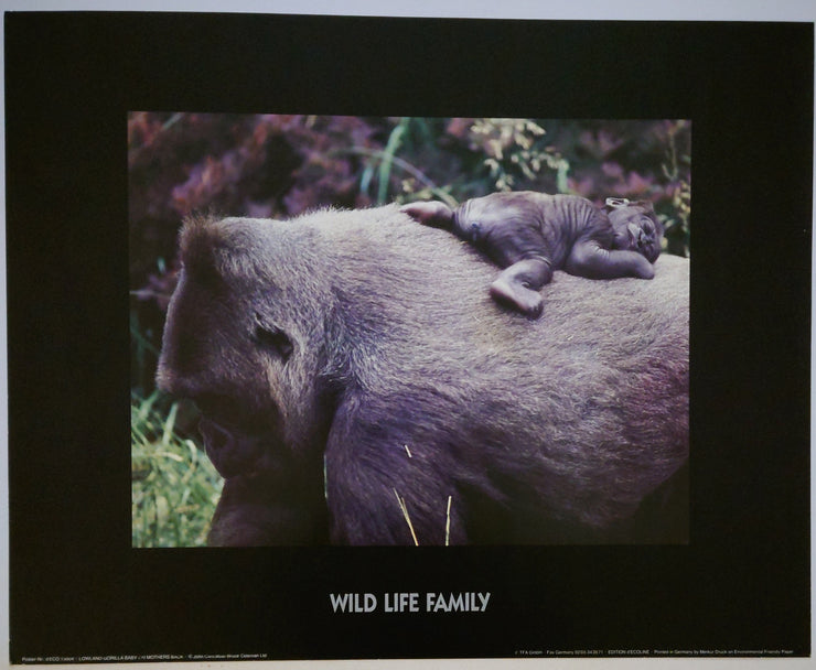 John Cancalosi - Lowland Gorilla Baby On Mother&