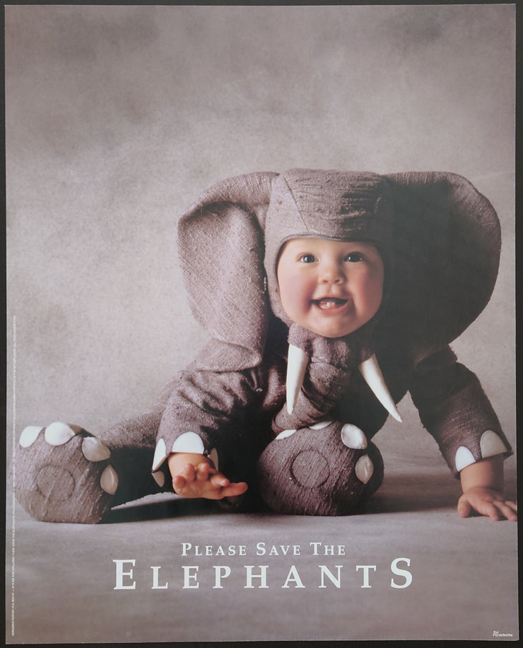 Ede Holland - Please Save The Elephants