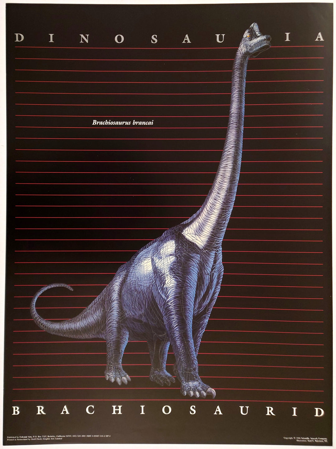 Earl C. Bateman, III - Brachiosaurid