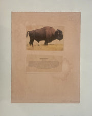 Carl Beam - American Bison*