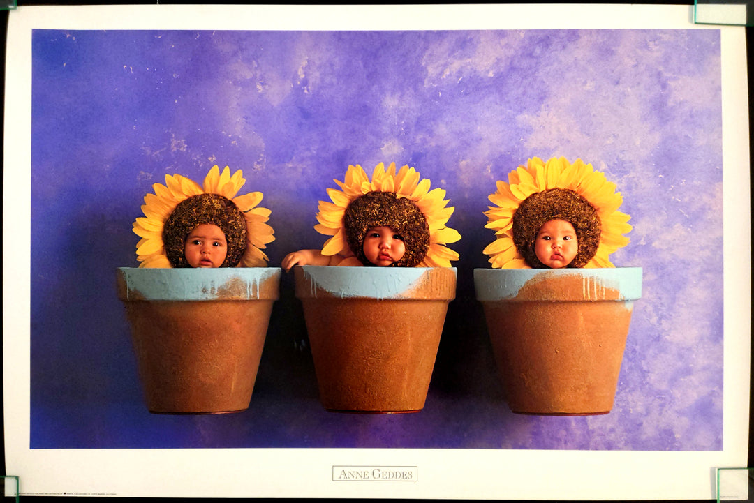 Anne Geddes fine art print - Sunflower Trio, three children wearing sunflower headbands sitting in terracotta flower pots against a rich purple background, playful and charming baby photography.